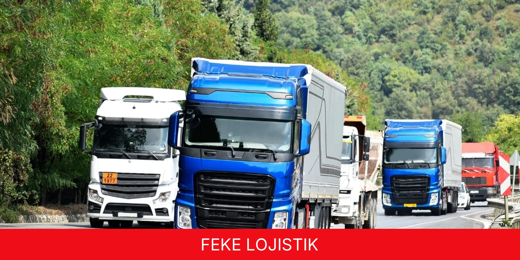 Feke Lojistik